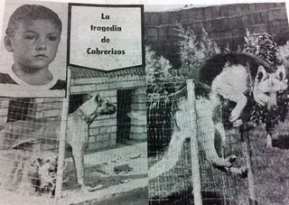 PerrosCabrerizos5