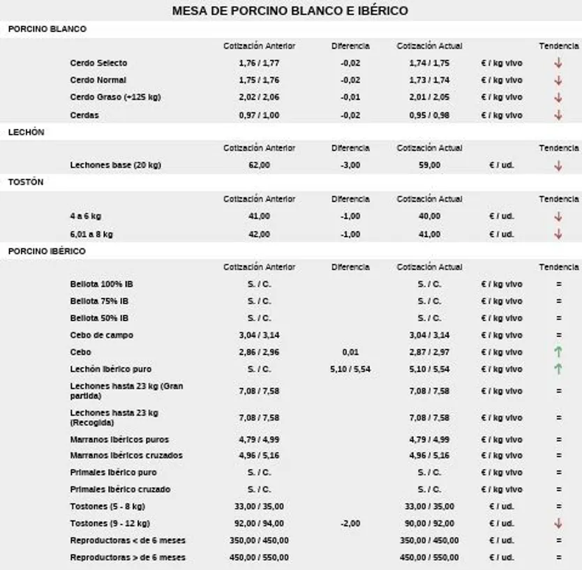 Mesa del porcino blanco e ibérico en la lonja agropecuaria de Salamanca a 4 de agosto de 2025