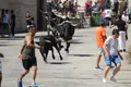 Encierro en Saucelle