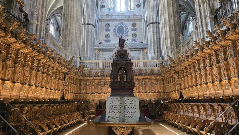 Visita guiada en la Catedral de Salamanca