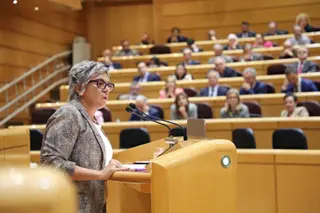 La senadora del PSOE por Salamanca, Elena Diego. Archivo.