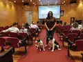 Perros pastores antes de la jornada formativa. 