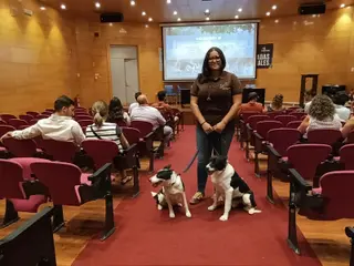 Perros pastores antes de la jornada formativa. 