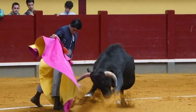 Clase práctica para alumnos de la escuela de tauromaquia de la Diputación de Salamanca | FOTO JUANES