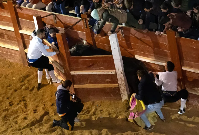 Concurso de recortes nocturno en el Carnaval del Toro de Ciudad Rodrigo |&nbsp;ICAL 
