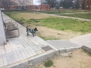 Plaza Santa Cecilia 1