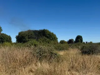 Bomberos forestales y de la Diputación intervienen en un incendio en Santa Marta de Tormes