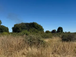 Bomberos forestales y de la Diputación intervienen en un incendio en Santa Marta de Tormes
