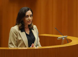 La procuradora de Unión del Pueblo Leonés (UPL), Alicia Gallego