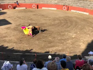 Novillada en Pereña de la Ribera 2021