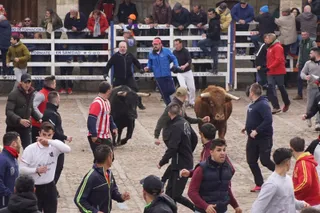 Encierro urbano de Ciudad Rodrigo