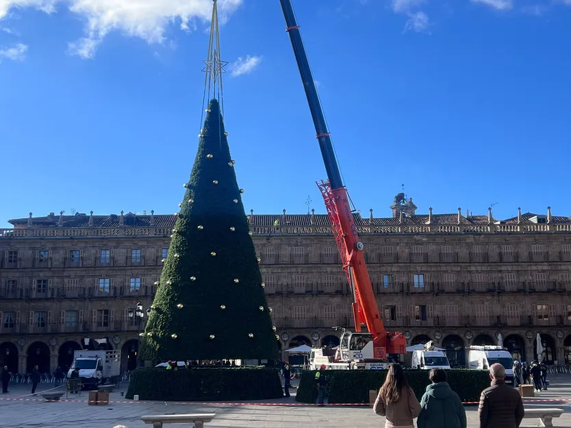 El gran árbol de Navidad ya luce casi terminado en el centro de la Plaza Mayor