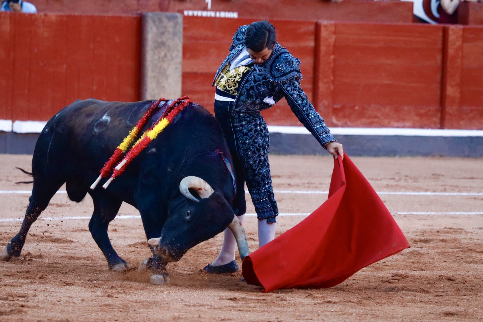 Naturales De Oro De Morante En Salamanca | Asier Galache