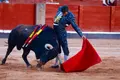 Naturales de oro de Morante de la Puebla en Salamanca | Asier Galache
