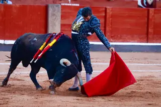 Naturales de oro de Morante de la Puebla en Salamanca | Asier Galache