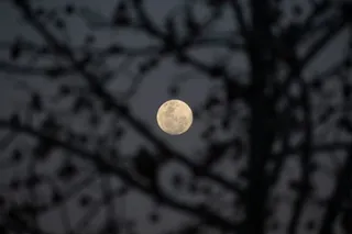 Luna llena de Esturión | National Geographic