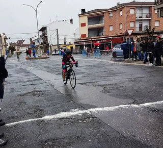 Llegada alevines