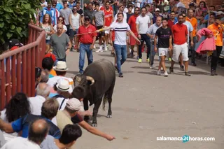 Encierro domingo Macotera (177)