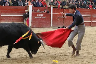 JOTA1106