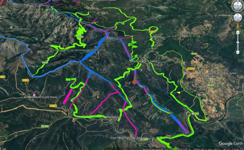 Cortafuegos Y Discontinuidades Plan Forestal