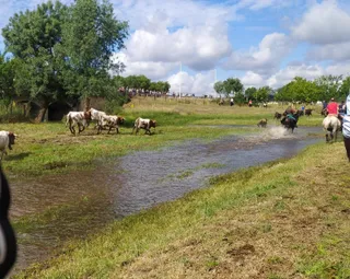 Encierro a caballo en Sancti Spiritus (1)