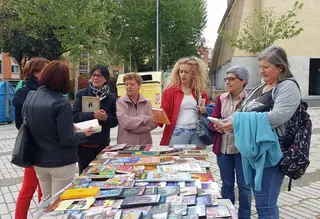 Intercambio de libros en Pizarrales