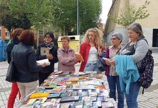Intercambio de libros en Pizarrales