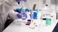 La UPSA inicia el nuevo curso académico reafirmando su compromiso con la investigación y la transferencia del conocimiento
