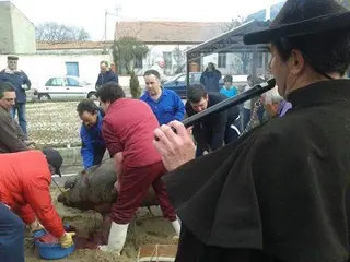 El pueblo celebra la segunda edición de la Matanza Típica