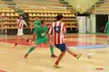 imagen de un torneo anterior en Asafusa.