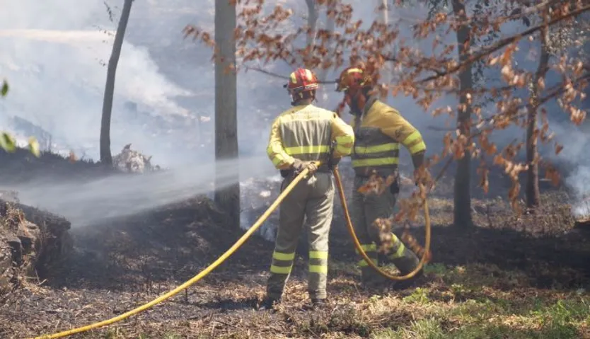 Incendio en la isla de garcilaso alba de tormes(15)