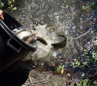 El sábado comienza la temporada de pesca en las aguas trucheras de la comunidad.