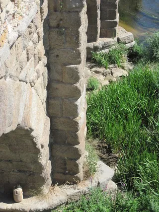 Vegetación en puente romano (9)