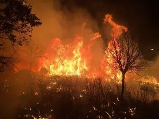 Incendio en Fermoselle desde la provincia charra