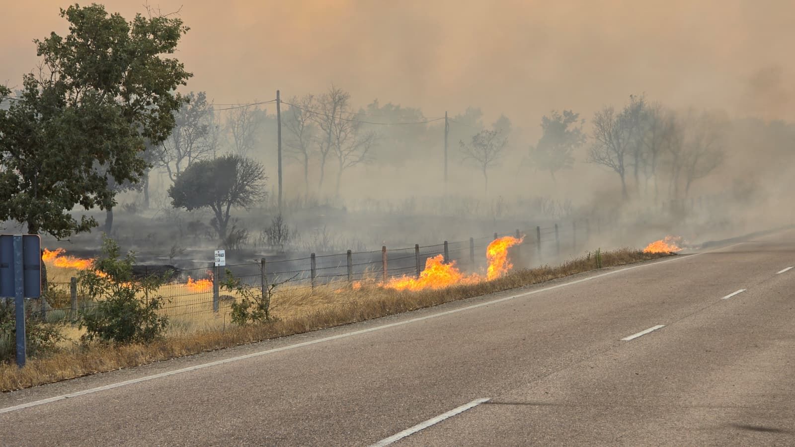 Incendio Cipérez. imagen Andrea Mateos (7).jpg