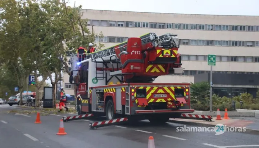 Bomberos podando árboles en el paseo de San Vicente por el temporal de viento. Foto Andrea M.