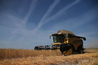 Una cosechadora en un campo de cereal. ICAL