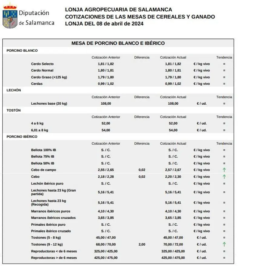 Mesa porcino 8 abril 2024