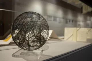 El Centro Cultural Hispano Japonés de la USAL inaugura la exposición “Haikugráfica: Instantes de la naturaleza” | Comunicación Universidad