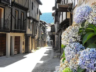 DSCF4191
