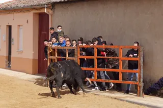 Dos heridos en el encierro del Toro del Voto de Villoria