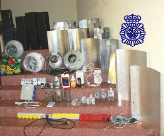 Detenido un matrimonio por tráfico de marihuana en un piso de la calle Nicaragua