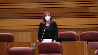 Carmen García, viceconsejera de Vivienda. Foto PSOE