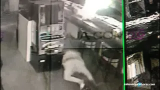 Robo cámara reptar