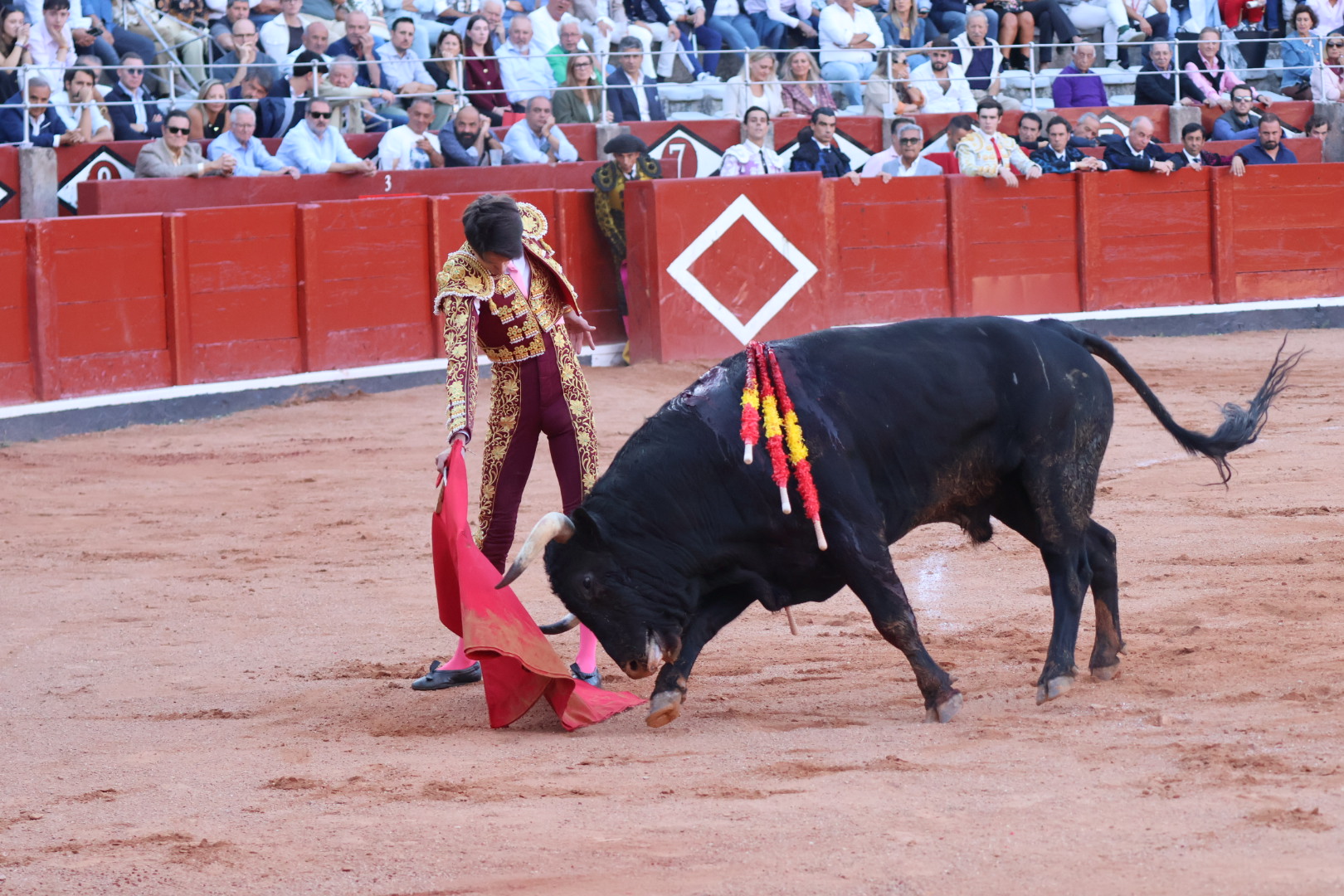Diego Mateos con 'Ladr&oacute;n', el novillo de m&aacute;s clase del encierro de Adelaida Rodr&iacute;guez en Salamanca | Andrea Mateos