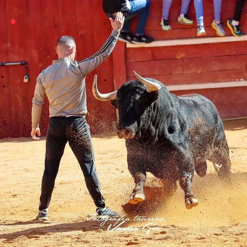 César Fernández 
