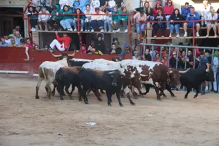 Encierro en Aldeadávila 