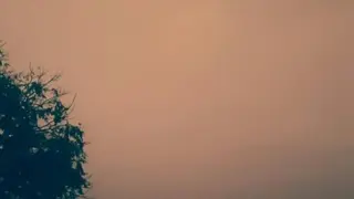 Alerta por un nuevo episodio de intrusión de partículas de polvo africano | EP