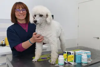 La veterinaria Marian Belloso, mencionada en el artículo, junto a uno de sus pacientes. ICAL