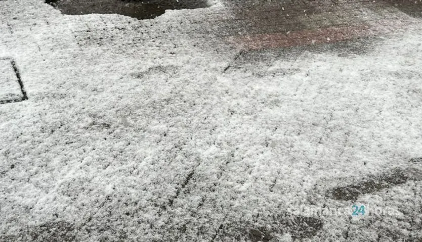 GALERÍA | Nieve en Salamanca capital, 23 de febrero, avenida de Mirat. Foto S24H